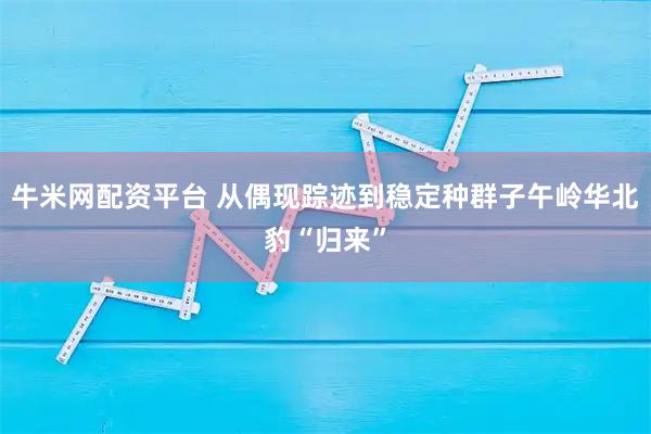 牛米网配资平台 从偶现踪迹到稳定种群子午岭华北豹“归来”