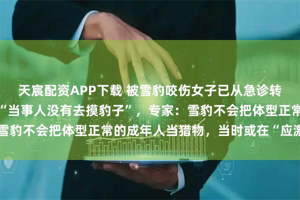 天宸配资APP下载 被雪豹咬伤女子已从急诊转至其他科室，目击者称“当事人没有去摸豹子”，专家：雪豹不会把体型正常的成年人当猎物，当时或在“应激”状态