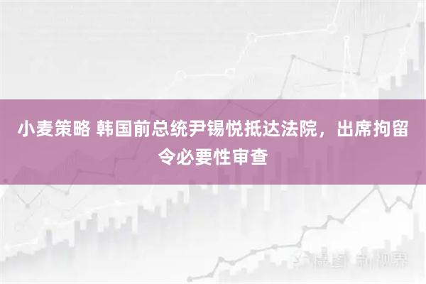 小麦策略 韩国前总统尹锡悦抵达法院，出席拘留令必要性审查
