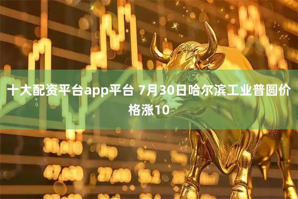 十大配资平台app平台 7月30日哈尔滨工业普圆价格涨10